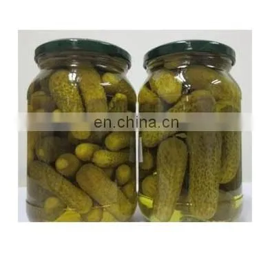 Gherkin Best Price High Quality/Best Canned Food Pickled Cucumber From Vietnam