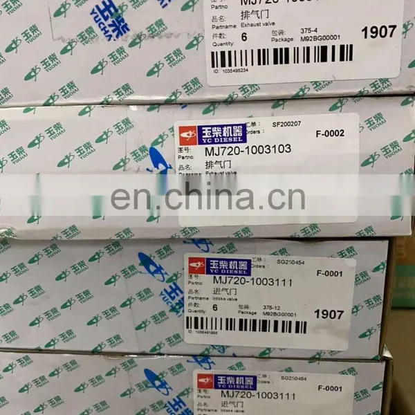 Genuine and Original Yuchai YC6A220C Marine Diesel Engine Parts photo-4