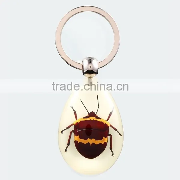 2016 New Spide Keychain With Real Insect photo-5