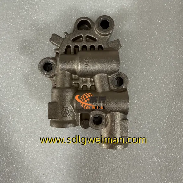 Original Bosch Common Rail Gear Pump 2445110060 0440020117 For Diesel Engine