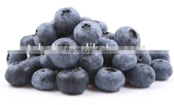 2015 New Blueberry photo-2