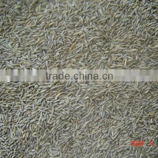 Cumin Seed