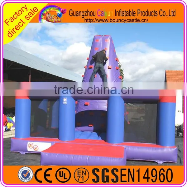 Giant Cheap Inflatable Rock Climbing Wall With Mattress for Kids and Adults photo-6