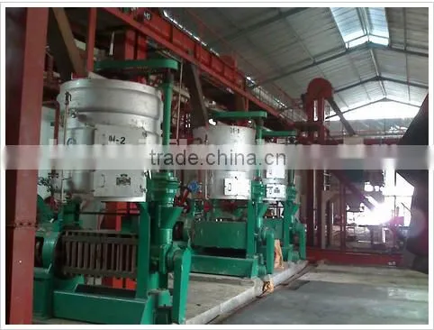 New Condition Extra Virgin Coconut Oil Equipment,Coconut Husk Remover at Factory Price photo-4