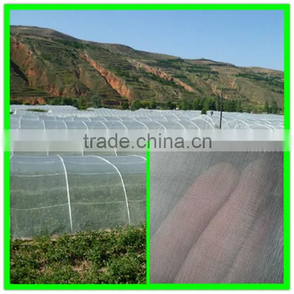 Suntex Large Size Agricultural Greenhouses Type Anti Insect Netting Plastic Bird Mesh photo-4