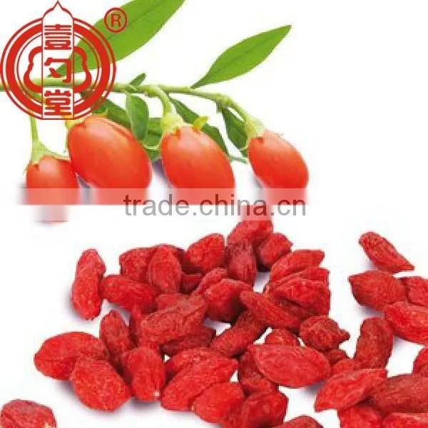 Medicinal Edible Healthy Goji Berries Fruit Ningxia Medlar Dried Gou Qi Zi Boxthorn Fruit photo-6