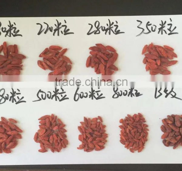 Food Distributors for Wholesale Organic Food, Goji Berry photo-3