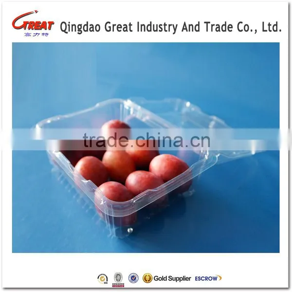 Disposable Clear Plastic Clamshell Containers for Fruit photo-3