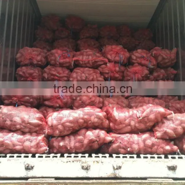 Vietnam Sweet Potato With Best Price and Good Quality photo-5