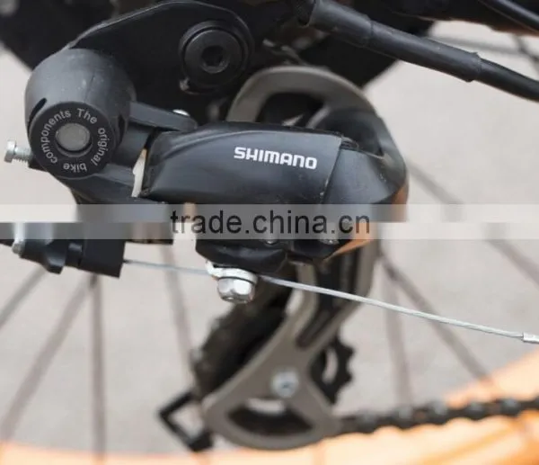 Fat Tire Electric Road Bike Green City Bike Electric Light Weight photo-6