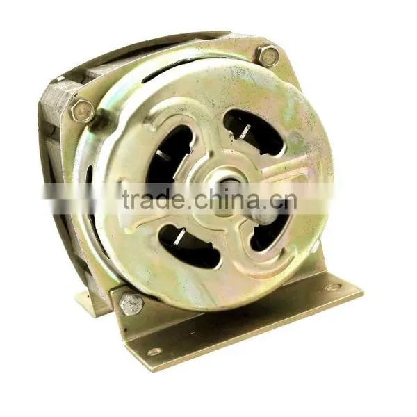 Washing Motor