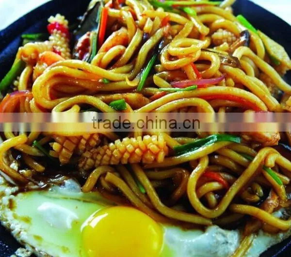 Japanese Udon Noodle photo-2