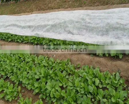 [FACTORY]PP Spunbond Non Woven Fabric (roll) With Spunbond and Anti-UV (nonwoven/non-woven) photo-2
