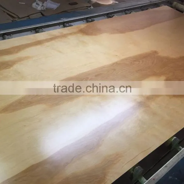 Birch Plywood/ Plywood/ UV Coated Plywood