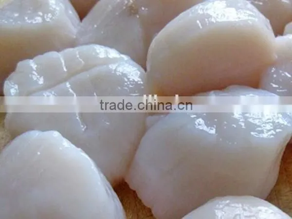 Frozen Shell Meat Scallop Meat photo-3