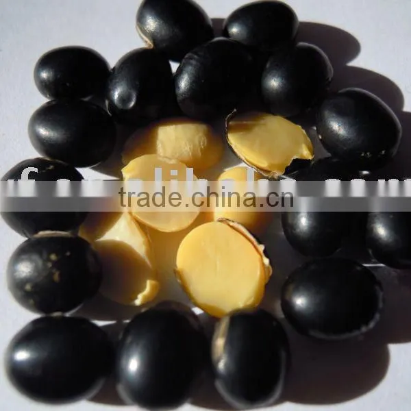 Black Bean Yellow Kernel ( Soya Bean) 2010