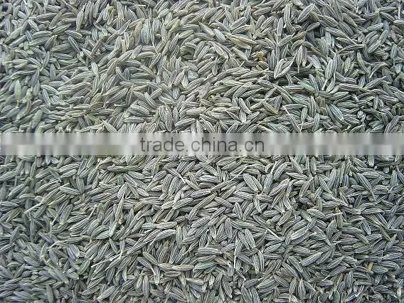 Cumin Seeds