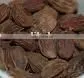 CARDAMOM , BLACK CARDAMOM