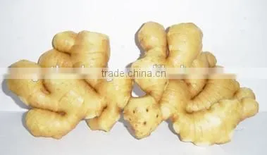 China Market Prices for Ginger photo-3