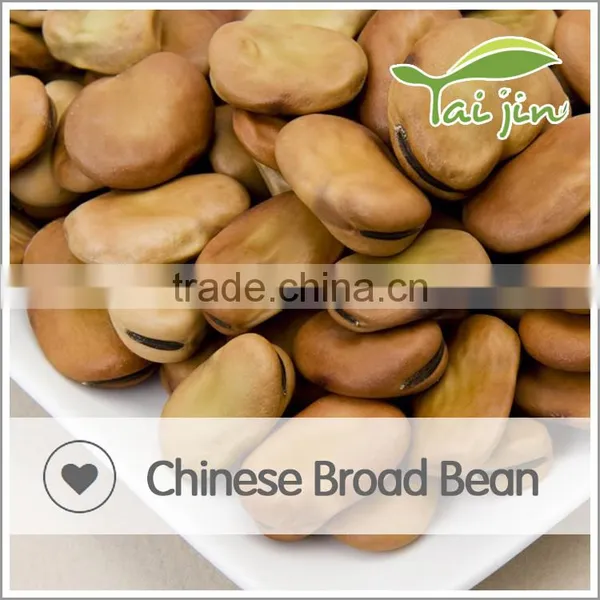 DRY BROAD BEAN photo-3