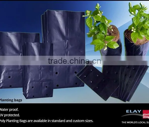 Seedling Bag photo-3