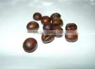 An Thai Specialty Roasted Coffee Beans Bi and Bi1 photo-6