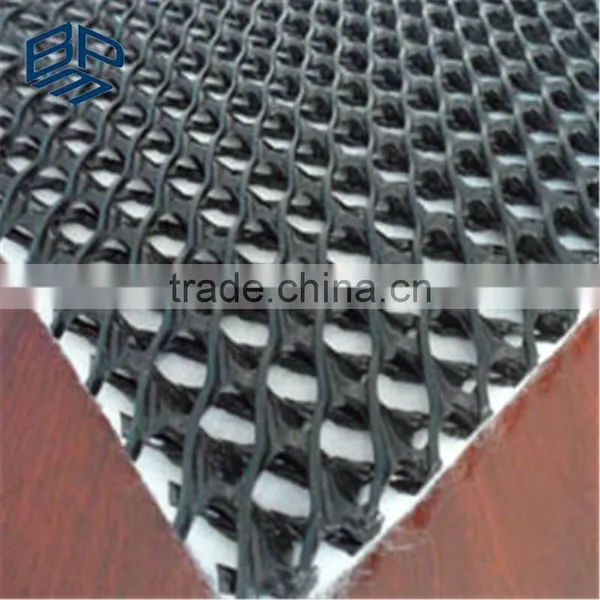HDPE 3D Composite Drainage Geonet in Landfill Network
