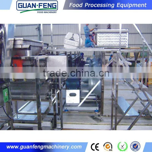 IQF Machine For Food Frozen French Fries Processing Line photo-5