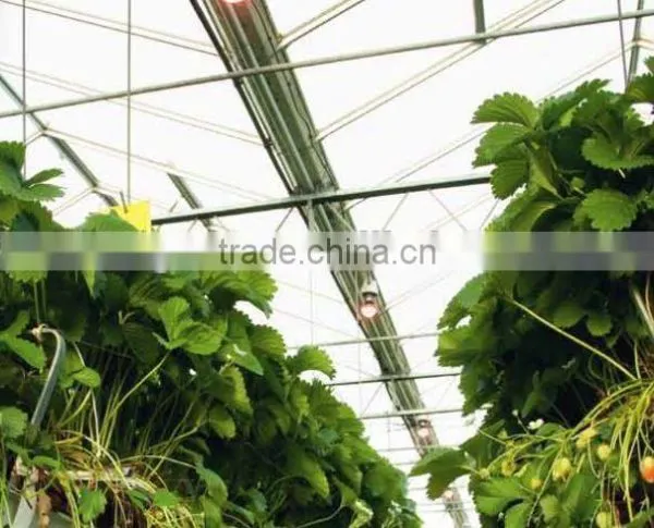 Greenhouse Kit photo-5