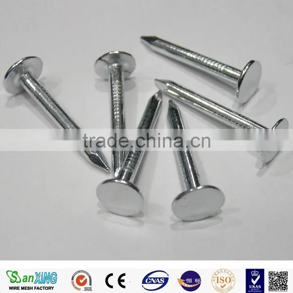 Zinc Galvanized Concrete Nail Cement Nail