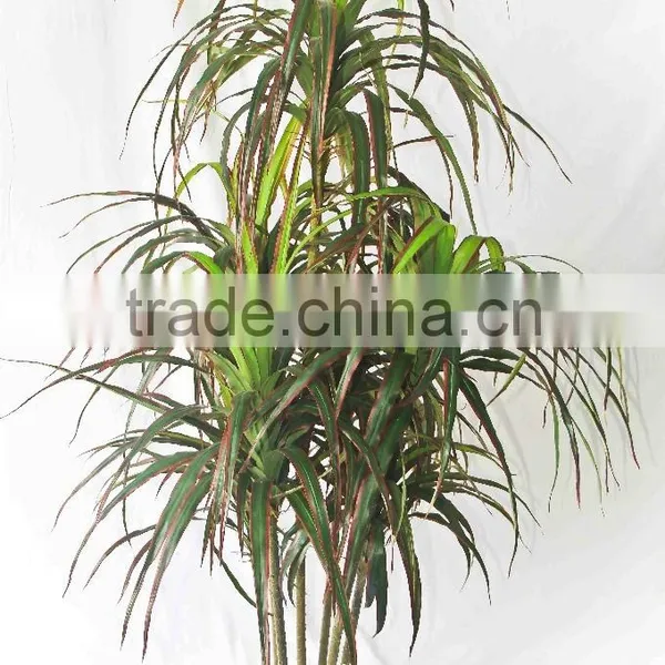 Office Decorative Green Plants photo-3