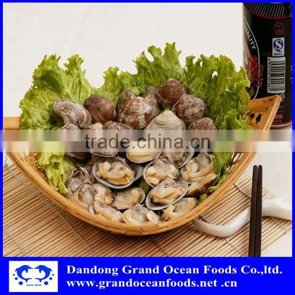 Gray Color Frozen Baby Clam photo-2
