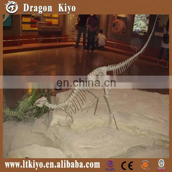 2015 Life Size Dinosaur Park Equipment Dinosaur Skeleton photo-2