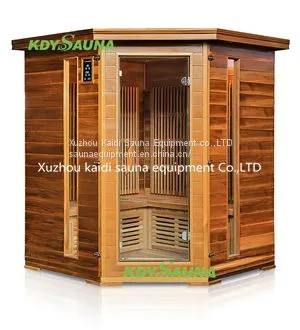 Health Mate Solid Wood Dry Steam Corner Far Infrared Sauna Room