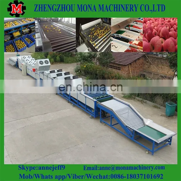 3ton/h Food Grade Industrial Fruit Fish Cassava Fruit Washing Grading Waxing Machine photo-3