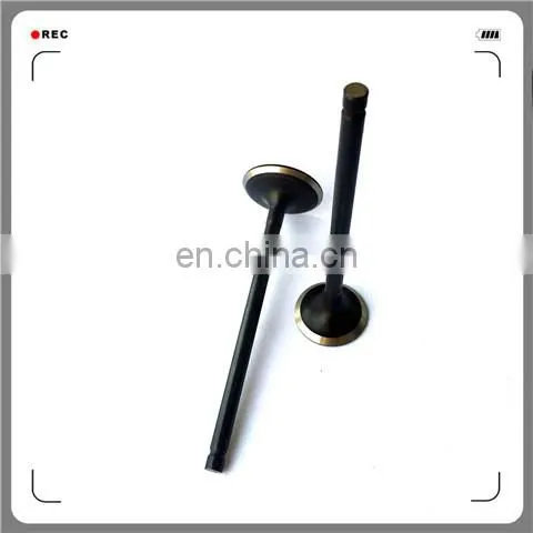 Oem 4A13-1007011 4A13-1007017 Engine Valve for 4A15 photo-2