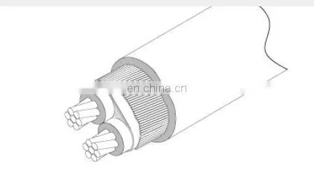 China Best Price BS7870 PVC Concentric Cable photo-5