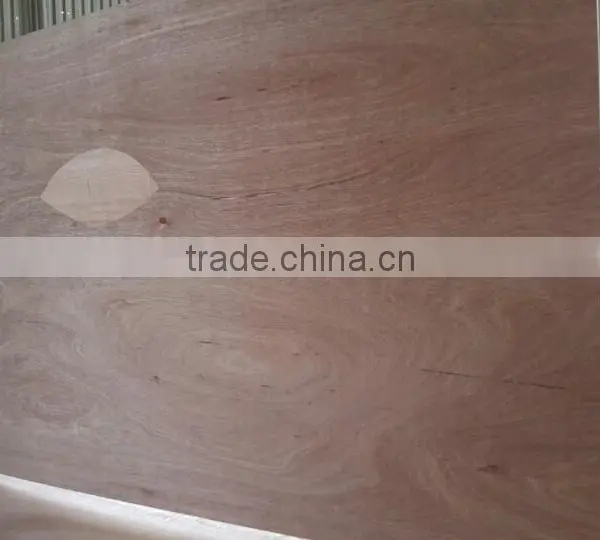 Plywood Origin in Vietnam photo-3