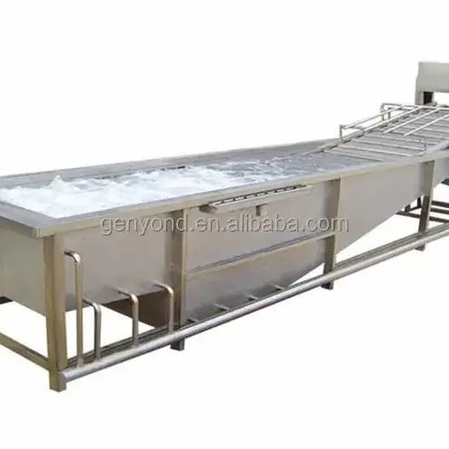 1000KG/H Capacity Rotary Washing Machine for Fruits & Vegetables Processing Line photo-2
