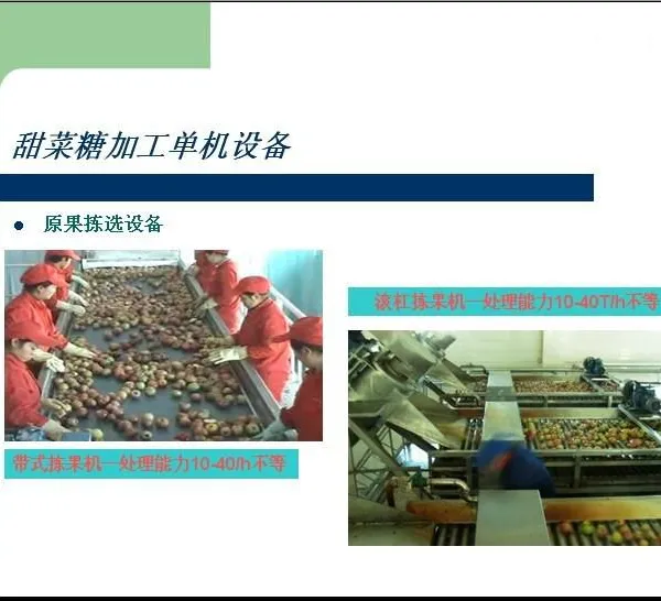 Shanghai Factory China Sugarcane & Sugar Beet Processing Machine Production Line Plant to Make White Crystal Sugar & Brown Sugar photo-4
