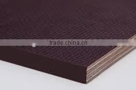 Wiremesh Film Faced Plywood,