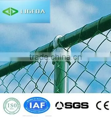 HOT! Best Manufaturing Hexagonal Wire Netting Suppliers photo-2