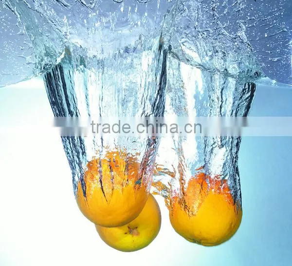 ~Manufacturer~ Potato Washing Machine, High Pressure Water Spray, 100% Stainless Steel...Nice! photo-2