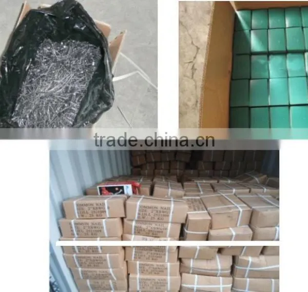 New Type Common Wire Nails Suppliers Directly photo-4