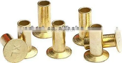 Rivet photo-2