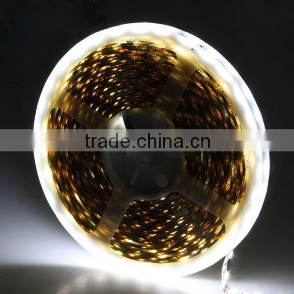 Lowest Price Led Rope Waterproof Led Strip Light photo-6