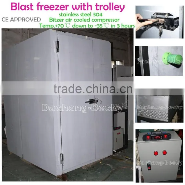 Stainless Steel 304 Air Cooled Quick Blast Freezer With Single Trolley photo-2
