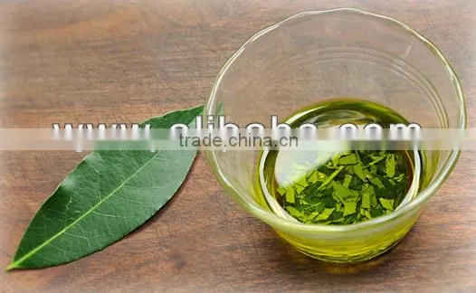 Laurel Bay Leaf Essential Oils , Laurel Oil photo-6