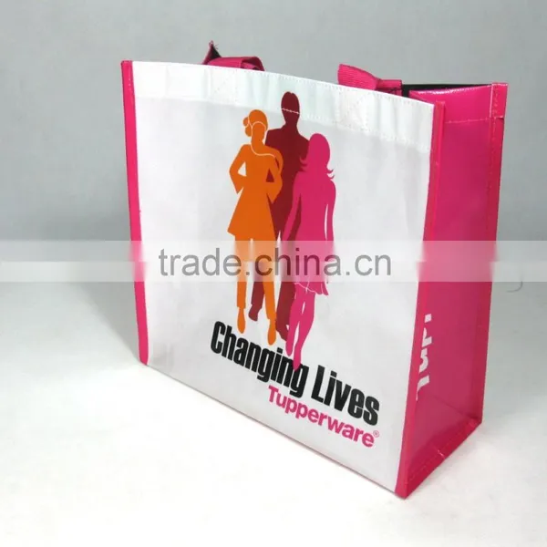 BSCI Audit Factory Eco Bag Supplier/non Woven Bags Printing/non Woven Bag photo-2