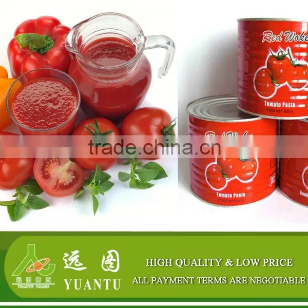 Aseptic Tomato Paste Bulk Wholesle Aseptic Canned Tin 28-30% 36-38% Drum Tomato Paste photo-4